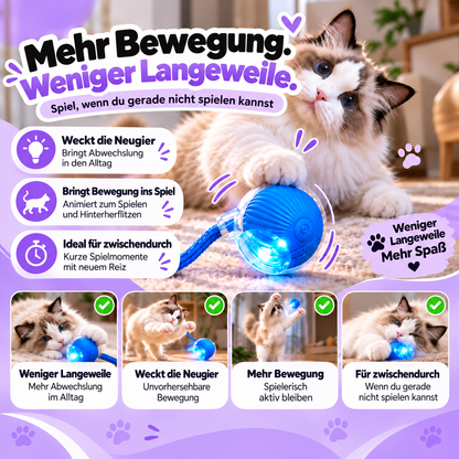 Flitzball – Interaktiver Katzenball mit Schweif